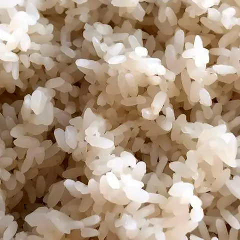 Hình ảnh Xôi trắng