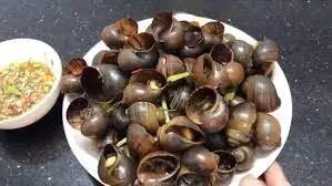 Hình ảnh Ôc bươu hấp sả