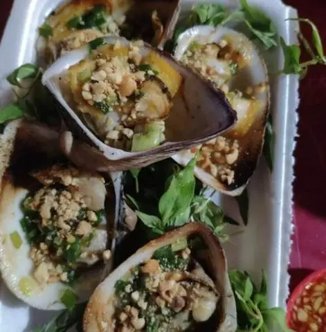 Hình ảnh Sò sữa