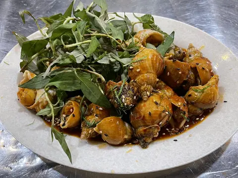 Hình ảnh Ôc Bulot