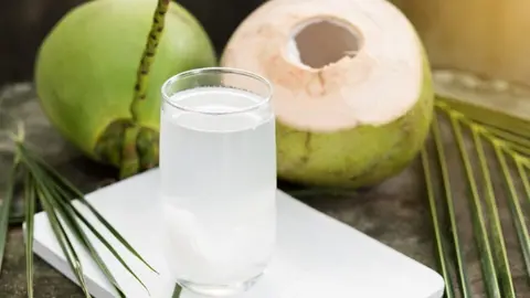 Hình ảnh Dừa Tươi