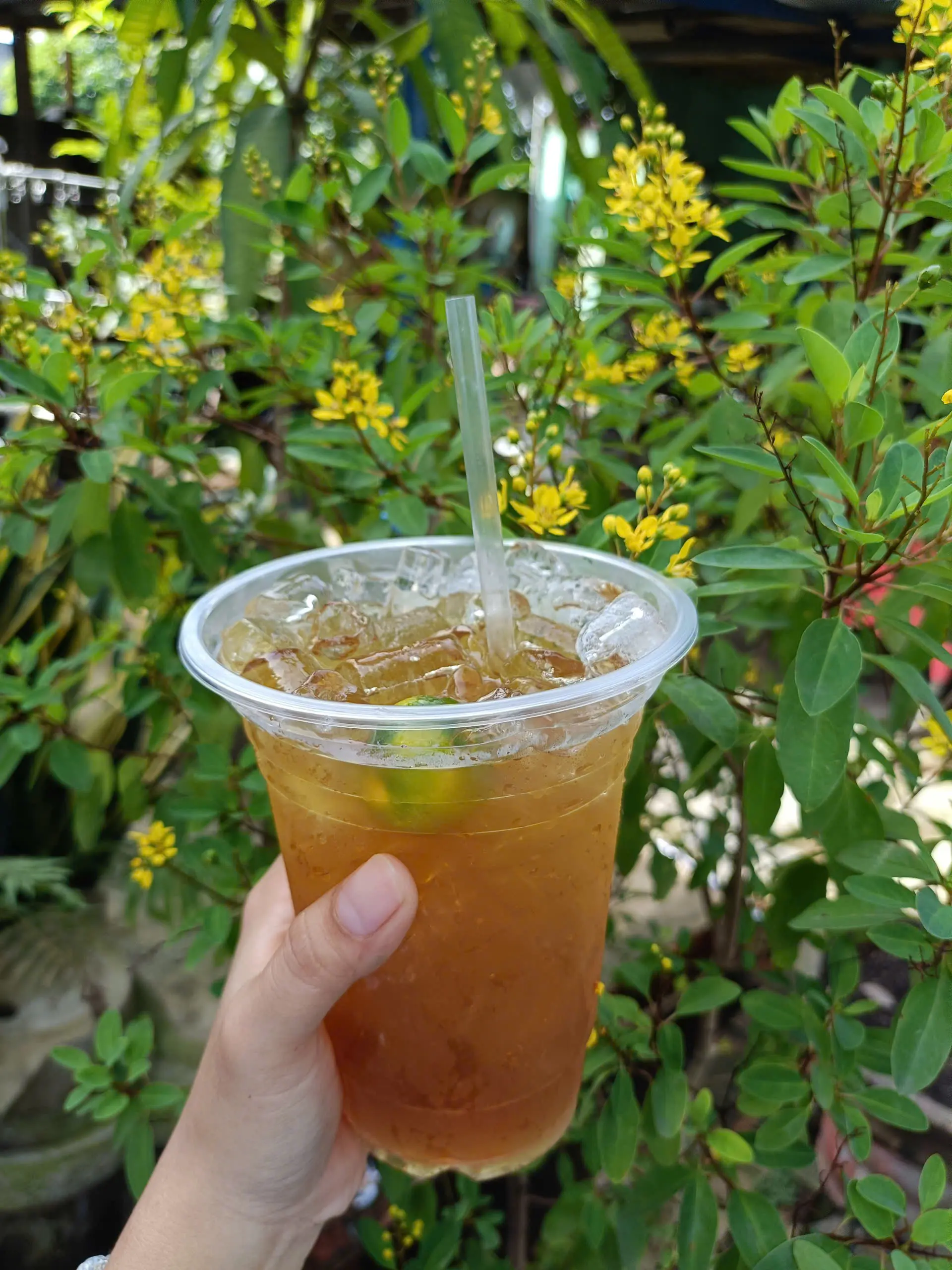 Hình ảnh Trà tắc