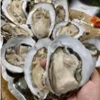 Hình ảnh Hàu đại dương hấp