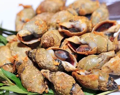 Hình ảnh Ốc cà na rang muối ớt