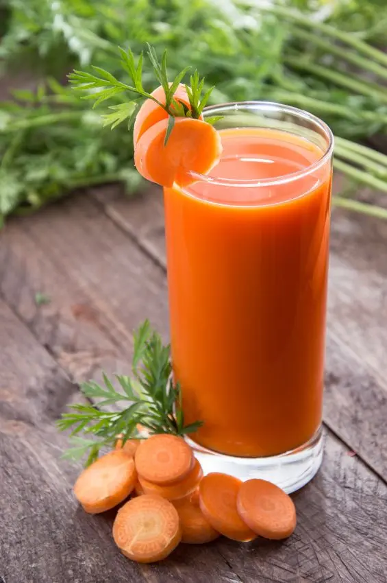 Hình ảnh Cà rốt