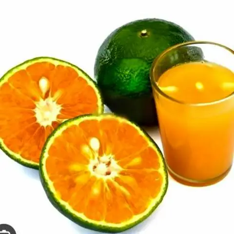 Hình ảnh Cam vắt ly lớn