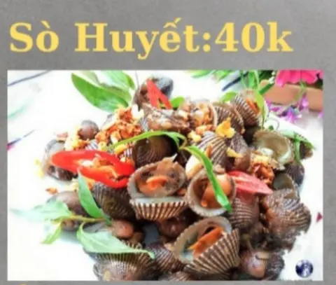 Hình ảnh Sò huyết