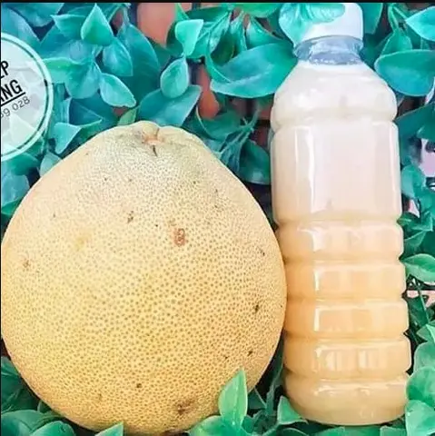 Hình ảnh Nước ép bưởi nguyên chất
