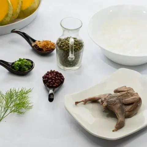 Hình ảnh Bồ câu đậu xanh