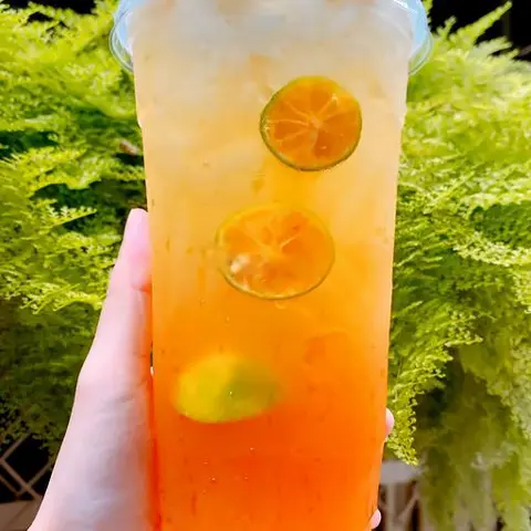 Hình ảnh Trà tắc