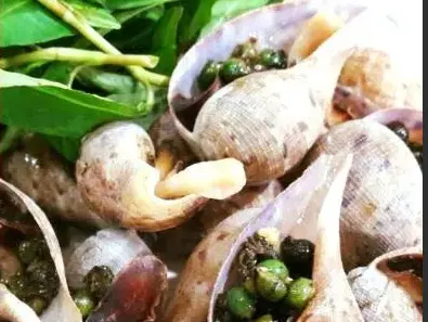 Hình ảnh Ốc muỗng nướng tiêu