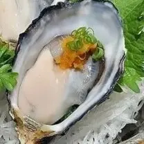 Hình ảnh Hàu Nhật sashimi
