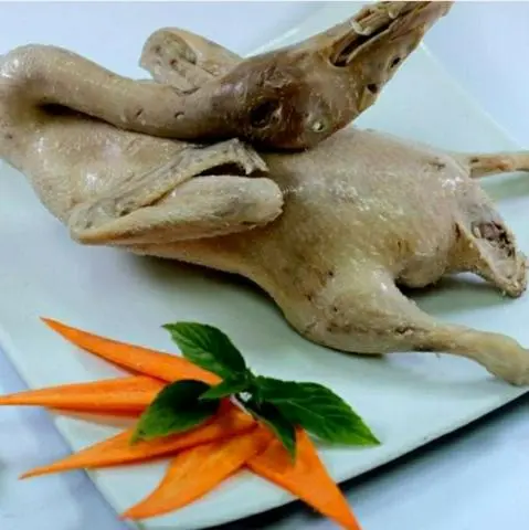 Hình ảnh 1 con vịt