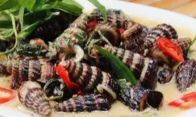 Hình ảnh Ốc len