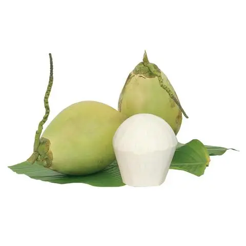 Hình ảnh Dừa