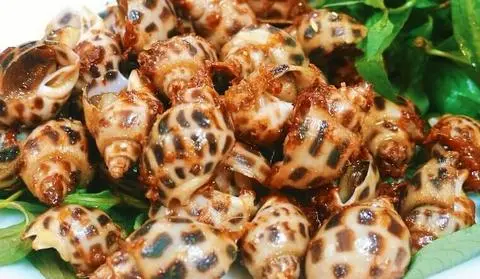 Hình ảnh Ốc hương