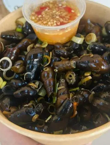 Hình ảnh Ốc đá hút