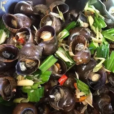 Hình ảnh Ốc bươu hấp sả