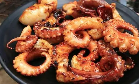 Hình ảnh Bạch tuộc sa tế
