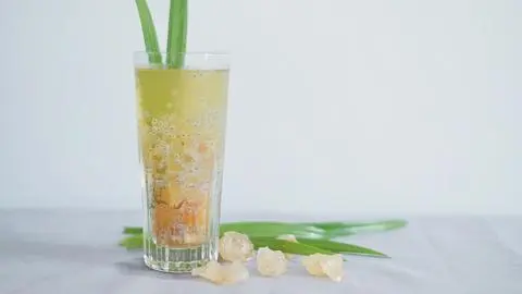 Hình ảnh Mủ trôm hạt chia