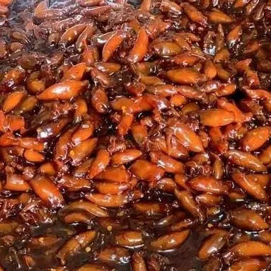 Hình ảnh Mực Sữa Rim 500g