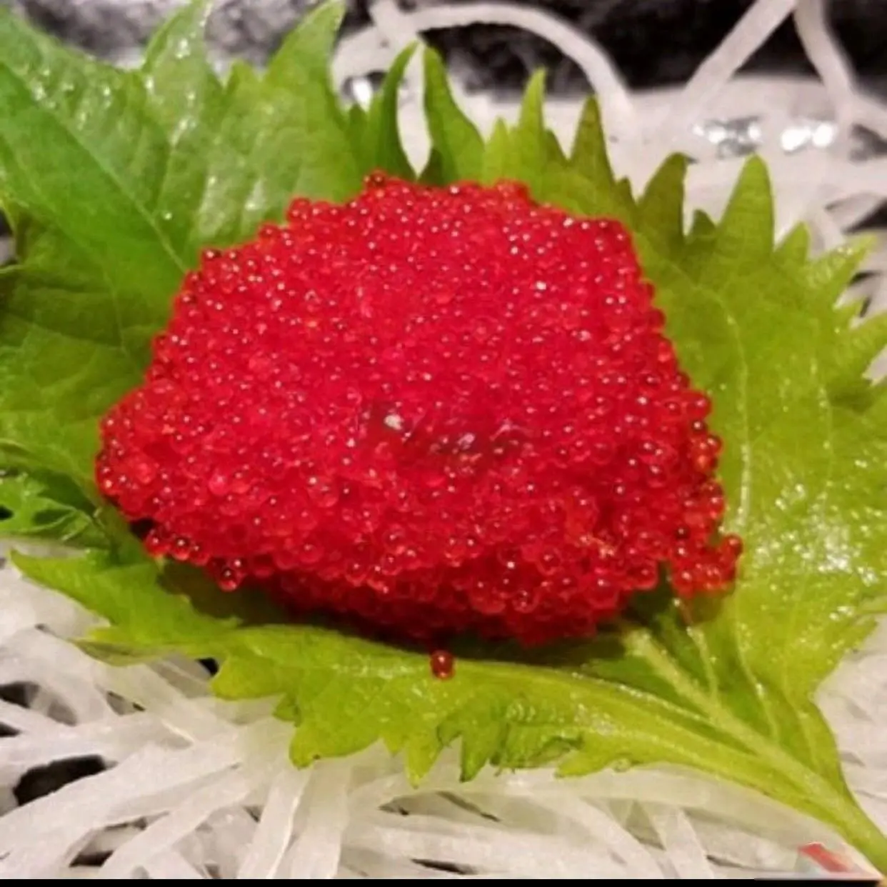 Hình ảnh Ebiko Sashimi (Trứng Tôm)