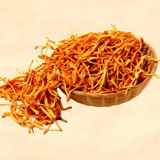 Hình ảnh Đông Trùng Hạ Thảo (20gr)